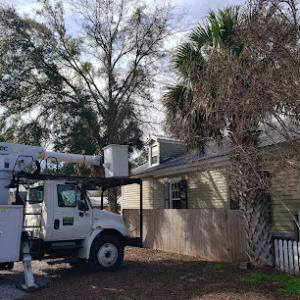 Cutchins Tree Service