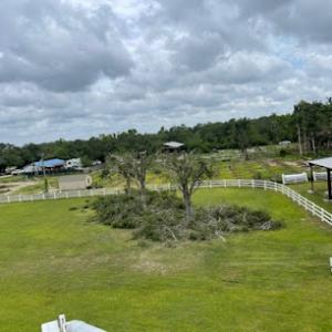 RLTC Inc. Tree Service & Lawn Care