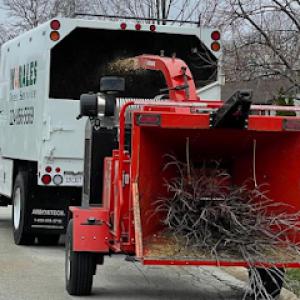 Morales Tree Service