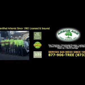 Arbor Age Tree Services