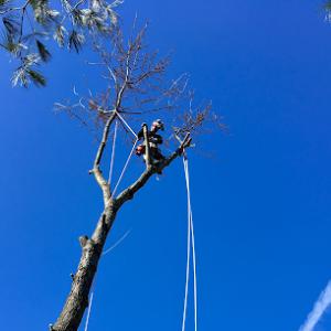 Brighter Outlook Property Management