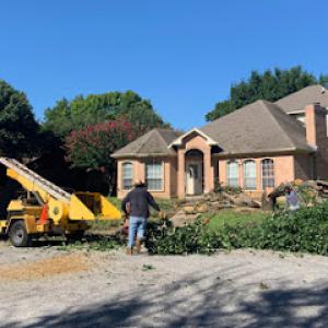 Alvarez Tree & Trimming Service