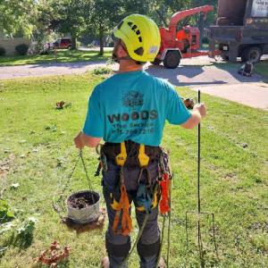 Woods Tree Service