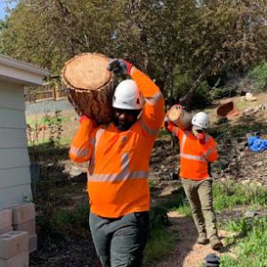 Jimenez Tree Service