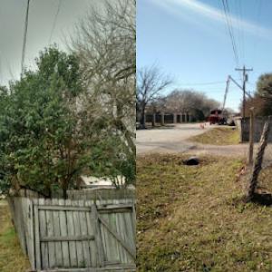 Leander Tree Service