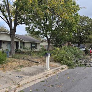 Local Oaks Tree Services