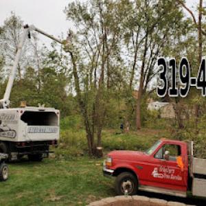 Erlacher's Tree Service.