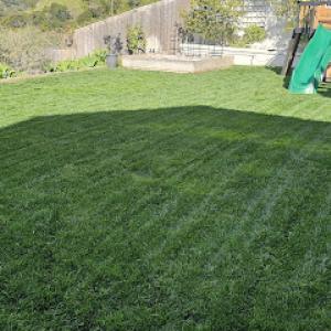 HouseFace Landscaping