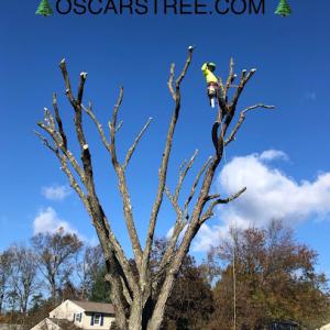 Oscar's Tree Removal & Stone Veneer