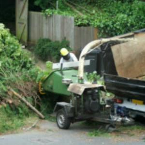 Downing's Tree Service