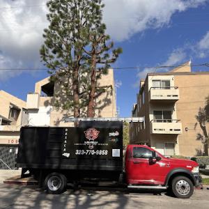 LunaBella Tree Svc & Landscape