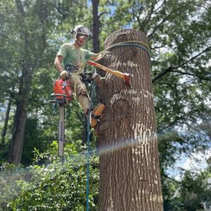 Watson Arbor Service