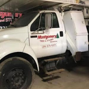 Montgomery Tree & Stump Removal