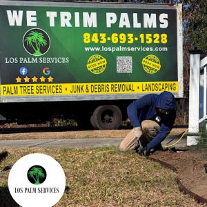 Los Palm Services