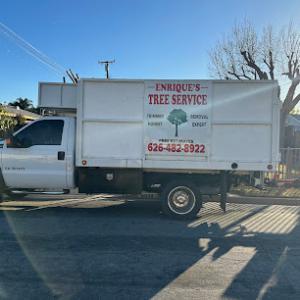 Enrique’s Tree Service