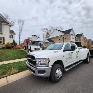 Piedmont Tree Experts