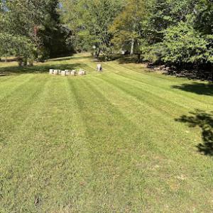 Thomas Tree Service & Lawn Care Service