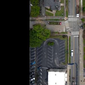 Big Woody's Tree Service