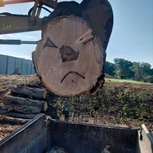 Root Wreckers Tree Service