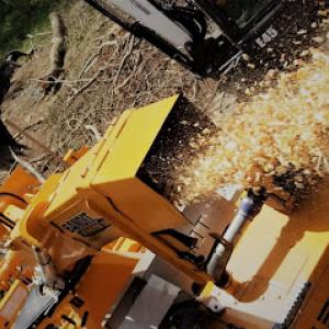 Primetime Tree & Landscape Services