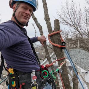 North South Tree Care