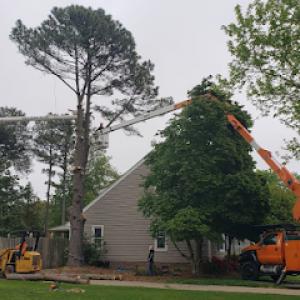 A Top To Bottom Tree & Lawn Service