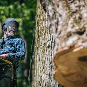 Graham's Tree Service