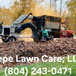 Lepe Lawn Care