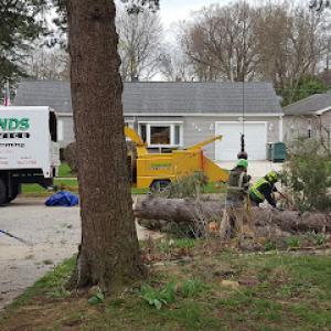 Edmonds Tree Service
