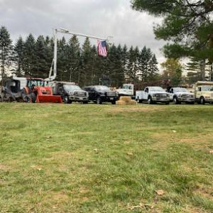 Greensite Tree & Land