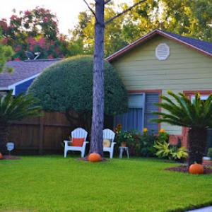 Inland Empire Landscapers