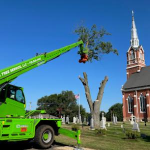 Jed's Tree Service
