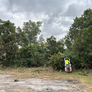 American Tree Service