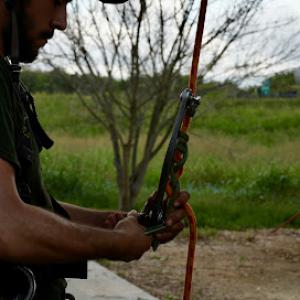 24-7 Tree Services Texas