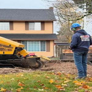 Sequoia Tree Service