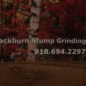 Blackburn's Stump Grinding Services