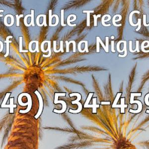 Affordable Tree Guys of Laguna Niguel