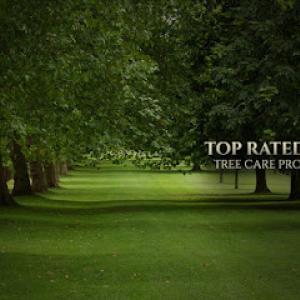 Patrick Musser Tree Service