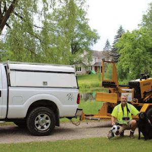 Elite Stump Grinding