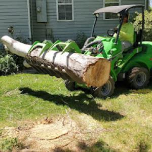 Tuttle Tree Removal