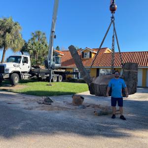 Ergonomic Tree Care