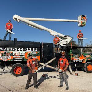 Tree Ninjas Tree Service