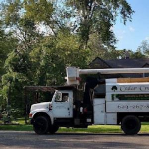 Cedar Creek Tree Removal
