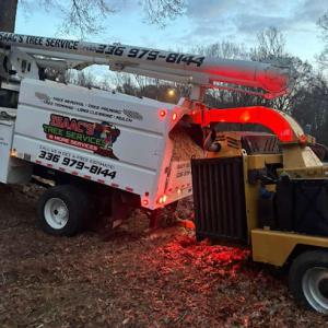 Isaac's Tree Service & More