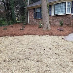 Pazcual Lugo Enterprise