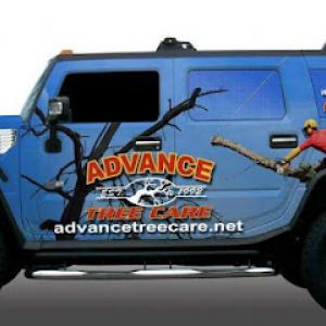 Advance Tree Care