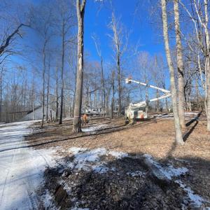 Lucky’s Tree Removal & Landscape Services