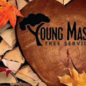 Young Masters Tree Service