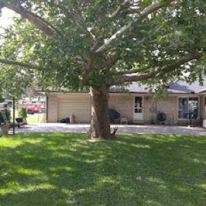 Our Family Tree Service