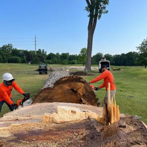 Tri County Tree & Firewood